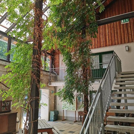 Landhotel Schaferhof Langenstein Extérieur photo